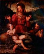 Andrea del Sarto Madonna and Child with St oil painting reproduction